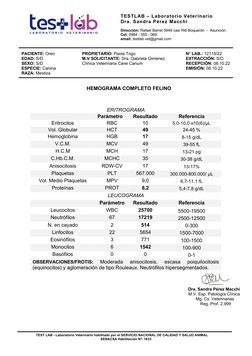 TESTLAB – Laboratorio Veterinario 
Dra. Sandra Pérez Macchi 
 
Dirección: Rafael Barret 5949 casi Ri6 Boquerón  -  Asunción.