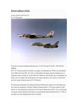 Introducción  
Antecedentes históricos  
F-14 Tomcat  
 
Foto de la marina estadounidense por LT JG Thomas Prochilo. (DN-SC-8