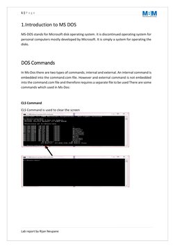 Computer Fundamentals Lab Report | PDF | Microsoft Excel | Microsoft Word