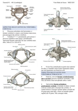 Tutorial 01 – 401 (Lombalgia)                                                                                Vitor Bidu de So