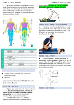 Tutorial 01 – 401 (Lombalgia)                                                                                Vitor Bidu de So