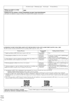 Bsp Cir Form.pdf BSP CIR Form for Consumer Complaints | PDF | Credit Card | Money