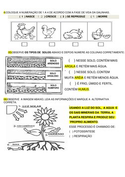 4)COLOQUE A NUMERAÇÃO DE 1 A 4 DE ACORDO COM A FASE DE VIDA DA GALINHAS. 
 
                (  1  ) NASCE     (  2
  ) CR