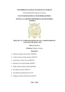 UNIVERSIDAD NACIONAL MAYOR DE SAN MARCOS 
Universidad del Perú, Decana de América 
FACULTAD DE QUÍMICA E INGENIERÍA QUÍMICA