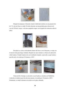 10 
 
              
 
Después de preparar el eluyente (etanol e hidróxido amónico en una proporción 
de 7:3), de este frasco