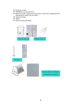 8 
 
❖ Estufa de secado    
❖ Ninhidrina, en solución al 1% 
❖ Patrones de alfa- aminoácidos puros para verificar los compone