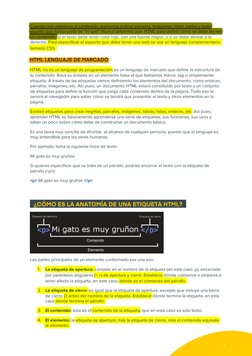 2 
Cuando nos referimos al contenido queremos indicar párrafos, imágenes, listas, tablas y todo 
aquello que forma par