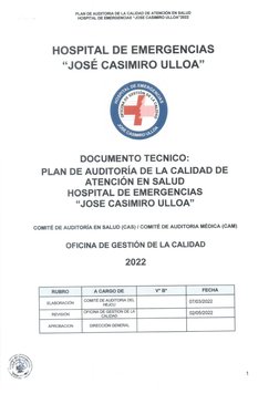 Plan Anual de Auditoria Medica 2022 | PDF