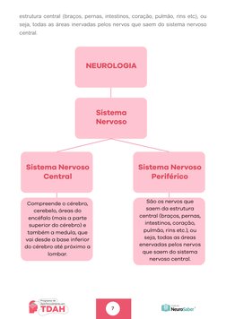 7
estrutura central (braços, pernas, intestinos, coração, pulmão, rins etc), ou 
seja, todas as áreas inervadas pelos nervos