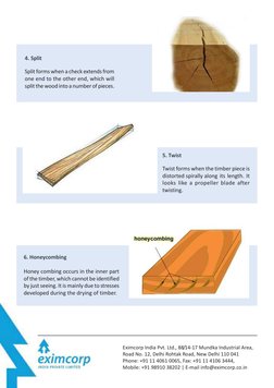 Types and Causes of Wood Defects | PDF | Lumber | Wood