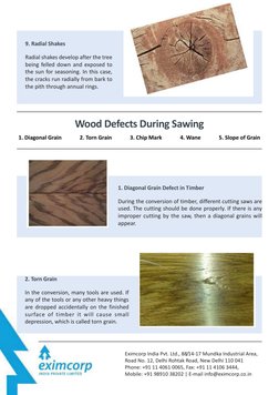Types and Causes of Wood Defects | PDF | Lumber | Wood