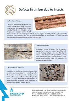 Types and Causes of Wood Defects | PDF | Lumber | Wood