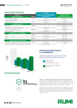 Ficha Tecnica Cemento Rumi Ip | PDF
