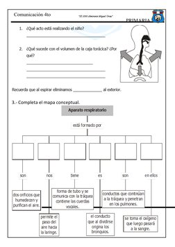 PRIMARIA
"IE 2066 Almirante Miguel Grau"
Comunicación 4to 
3.- Completa el mapa conceptual.