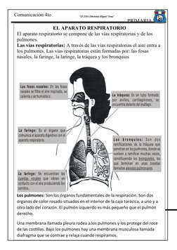 PRIMARIA
"IE 2066 Almirante Miguel Grau"
Comunicación 4to