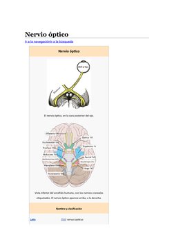 (https://commons.wikimedia.org/wiki/File:Brain_human_normal_inferior_view_with_labels_es.svg) (https://commons.wikimedia.org