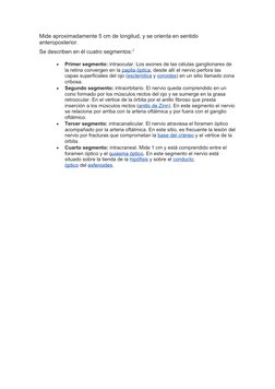 Mide aproximadamente 5 cm de longitud, y se orienta en sentido 
anteroposterior.
Se describen en él cuatro segmentos:7 (https