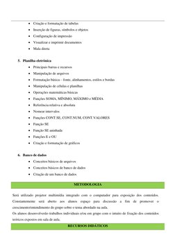 • Criação e formatação de tabelas 
• Inserção de figuras, símbolos e objetos 
• Configuração de impressão 
• Visualizar e
