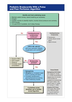 Pediatric Bradycardia With a Pulse
and Poor Perfusion Algorithm
Identify and treat underlying cause
Maintain patent airway; a