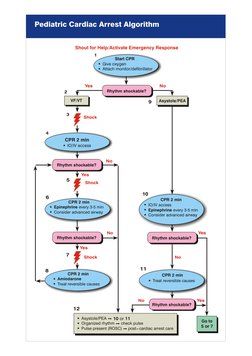 Pediatric Cardiac Arrest Algorithm
Shout for Help/Activate Emergency Response
1
Start CPR
Give oxygen
Attach monitor/defibril
