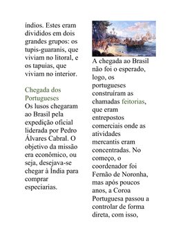índios. Estes eram 
divididos em dois 
grandes grupos: os 
tupis-guaranis, que 
viviam no litoral, e 
os tapuias, que 
viviam