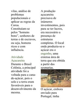 vilas, análise de 
problemas 
populacionais e 
aplicar as regras da 
Coroa. 
Constituíam-se 
pelos “homens 
bons”, senhores d