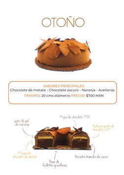 SABORES PRINCIPALES: 
Chocolate de metate - Chocolate oscuro – Naranja - Avellanas 
TAMAÑO: 20 cms diámetro PRECIO: $700 MXN