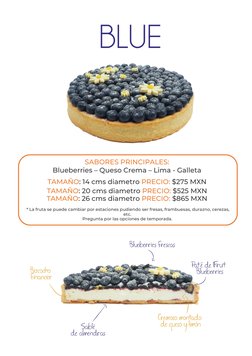 SABORES PRINCIPALES: 
Blueberries – Queso Crema – Lima - Galleta 
TAMAÑO: 14 cms diametro PRECIO: $275 MXN 
TAMAÑO: 20 cms di