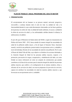 Plan de Trabajo para Adultos Mayores 2023 | PDF | Adultos | Vejez