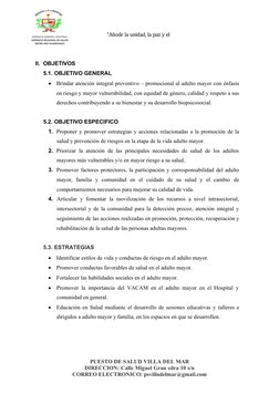 Plan de Trabajo para Adultos Mayores 2023 | PDF | Adultos | Vejez