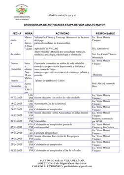 Plan de Trabajo para Adultos Mayores 2023 | PDF | Adultos | Vejez