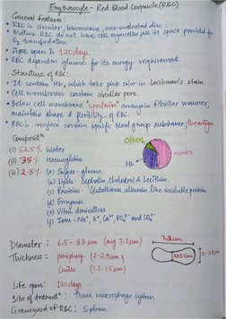 Blood Physiology Visual Notes.pdf Blood Physiology Unit 2 Handwritten Note | PDF