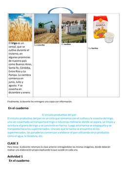 Circuito Productivo del Trigo 3° Grado | PDF | Evaluación | Panes