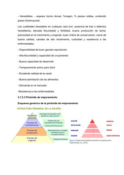 - Heredables. - espesor tocino dorsal, %magro, % piezas nobles, contenido
grasa intramuscular. 
Las cualidades deseables en c