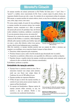 Esta é uma receita paga |@crocheteiranerd
5
As esponjas marinhas são animais pertencentes ao filo Porifera (do latim porus =