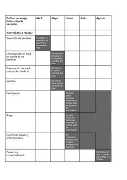 Cultivo de acelga
(beta vulgaris
var.cicla)
Abril
Mayo
Junio
Julio
Agosto
Actividades a realizar
Selección de semillas
se rea