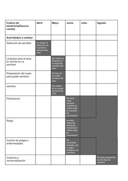 Cultivo de
zanahoria(Daucus
carota)
Abril
Mayo
Junio
Julio
Agosto
Actividades a realizar
Selección de semillas
se realizó la