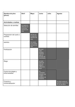 Siembra de pino
(pinus)
Abril
Mayo
Junio
Julio
Agosto
Actividades a realizar
Selección de semillas
se realizó la
selección en