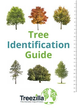 Tree
Identification
Guide
1
2
3
4
5
6
7
8
9
10
11
12
13
14
15
16
17
18
19
20
21
22
23
24
25
