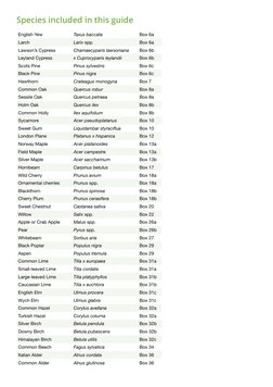 Species included in this guide
English Yew 
Taxus baccata 
Box 6a
Larch 
Larix spp. 
Box 6a
Lawson’s Cypress 
Chamaecyparis l