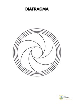 DIAFRAGMA

