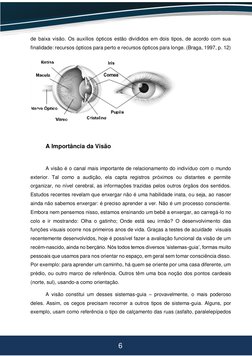 6 
 
 
de baixa visão. Os auxílios ópticos estão divididos em dois tipos, de acordo com sua 
finalidade: recursos ópticos par