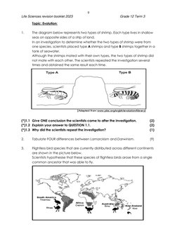 Grade 12 Evolution Notes.pdf Grade 12 Evolution Revision Notes | PDF | Meiosis | Evolution
