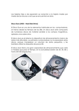 Las tarjetas hijas o de expansión se conectan a la tarjeta madre por 
medio de las ranuras o slot que se encuentran en ésta