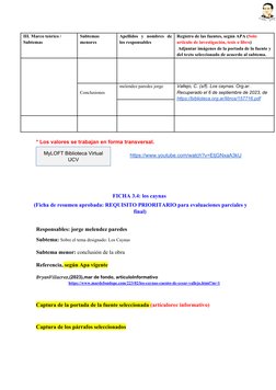 III. Marco teórico /   
Subtemas
Subtemas
menores
Apellidos  y  nombres  de
los responsables
Registro de las fuentes, según A