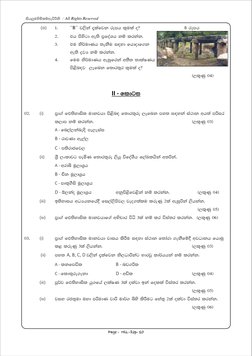 Grade 11 History Second Term Test 2022 | PDF
