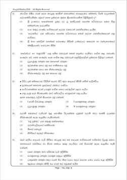 Grade 11 History Second Term Test 2022 | PDF
