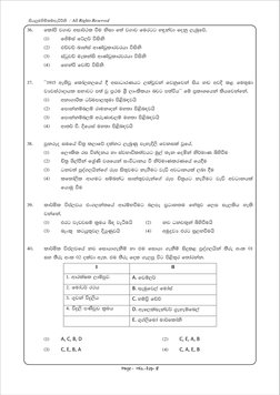 Grade 11 History Second Term Test 2022 | PDF