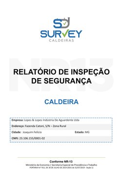 RELATÓRIO DE INSPEÇÃO
DE SEGURANÇA
CALDEIRA
Conforme NR-13 
Ministério da Economia | Secretaria Especial de Previdência e Tra