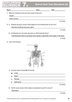 caterease | test page Images High Quality Grahic 7c Test Paper | PDF | Arm | Blood